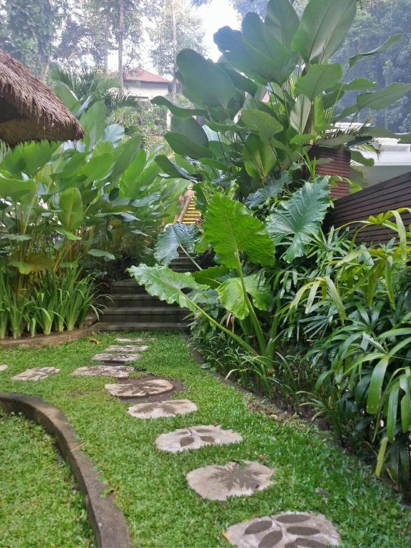 The Luku Villa 布维特 外观 照片